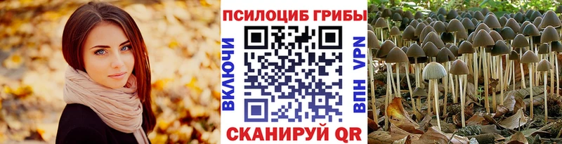 Псилоцибиновые грибы ЛСД  Нелидово 